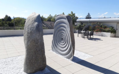 Exposition à Lancy – Vincent Du Bois