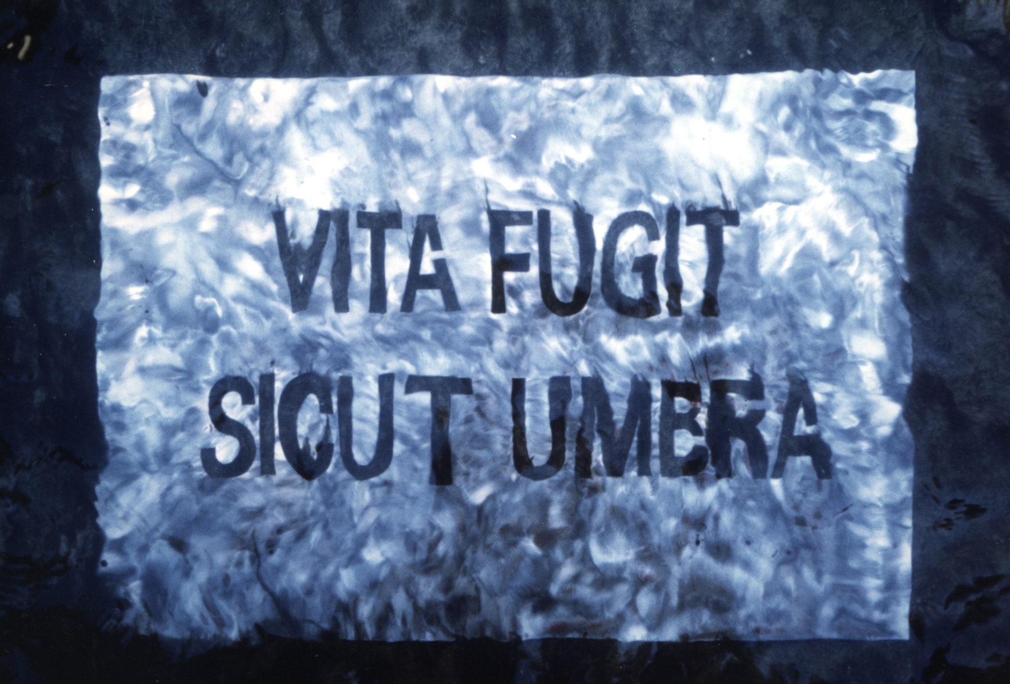 Vanite-vita-fugit-eau