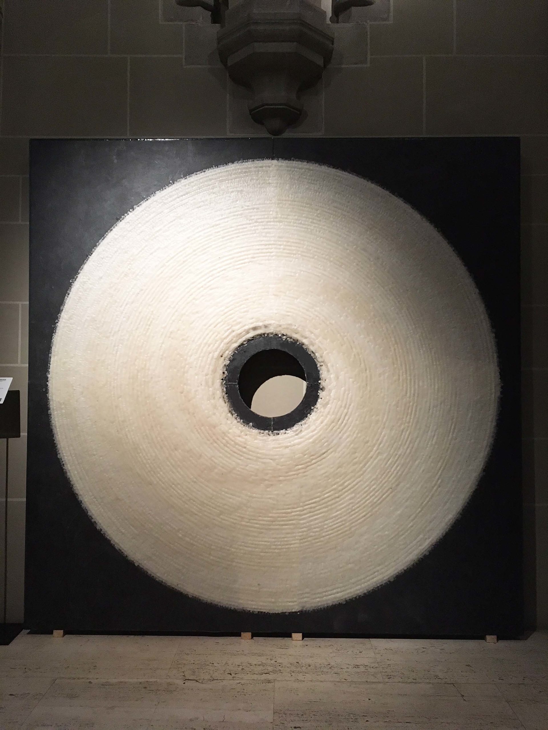 gros-plan cirer murale LD